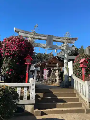 下新倉氷川八幡神社(埼玉県)