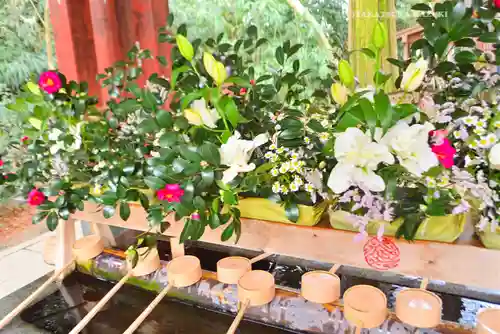 武蔵一宮氷川神社(埼玉県)