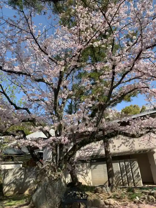 伊勢の国 四天王寺の自然