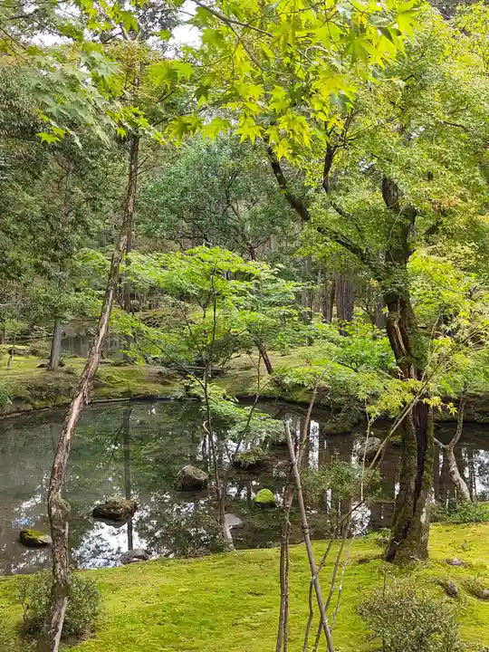 西芳寺(京都府)