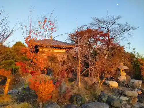 石薬師寺の建物その他