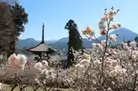 国宝 大法寺の庭園