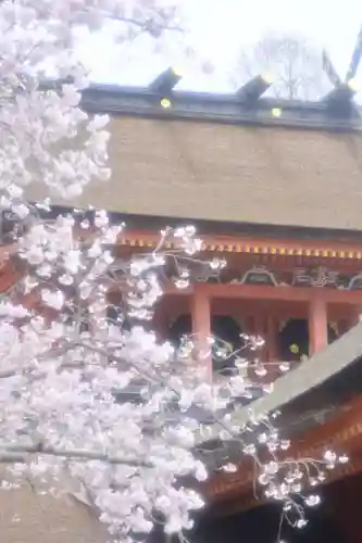 富士山本宮浅間大社(静岡県)