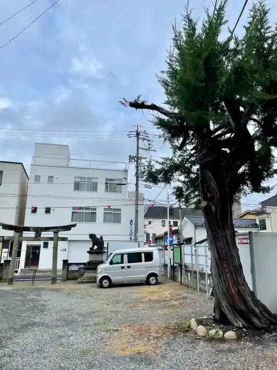 冨士浅間神社(長野県)