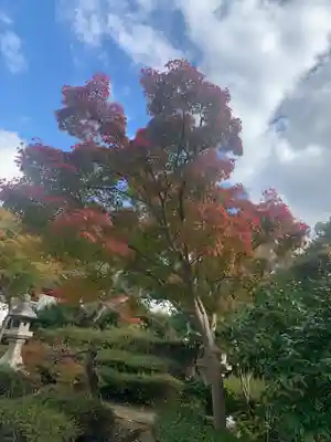 壺井八幡宮(大阪府)