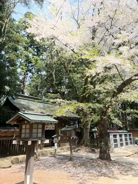 駒形神社(岩手県)