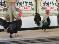 大崎八幡宮(宮城県)