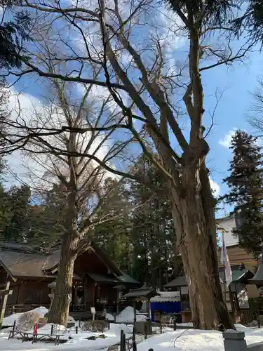 住吉神社の山門