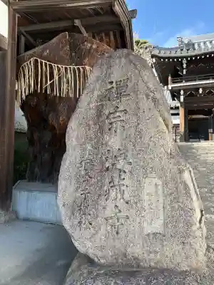 海蔵寺の{uncategorized: "未分類", other: "その他", undefined: "問題あり", building: "その他建物", grave: "お墓", sacred_gate: "鳥居", guardian: "狛犬", statue: "像", buddha: "仏像", history: "歴史", nature: "自然", garden: "庭園", animal: "動物", pagoda: "塔", temizu: "手水舎", mountain_gate: "山門・神門", sanctuary: "本殿・本堂", subordinate: "末社・摂社", art: "芸術", scenery: "景色", jizo: "地蔵", ema: "絵馬", goshuin: "御朱印", omikuji: "おみくじ", items: "授与品その他", amulet: "お守り", goshuincho: "御朱印帳", eats: "食事", festival: "お祭り", votive_dance: "神楽", shichigosan: "七五三参", wedding: "結婚式", experience: "体験その他", initially: "初詣", around: "周辺", anti_infection: "感染症対策"}