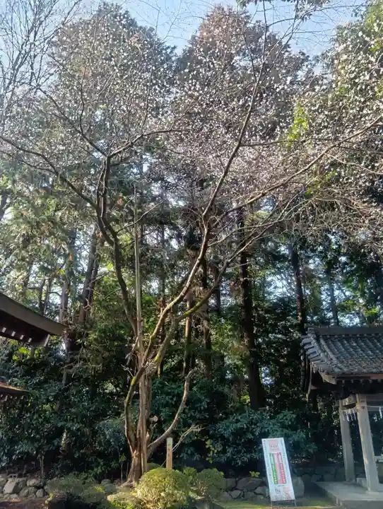 (長良)天神神社(岐阜県)