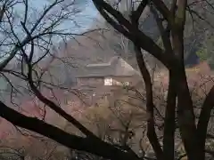 筑波山神社(茨城県)