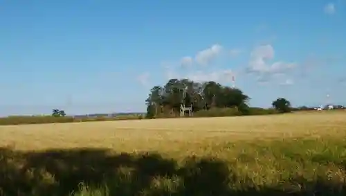 厳島神社/義公殿の周辺