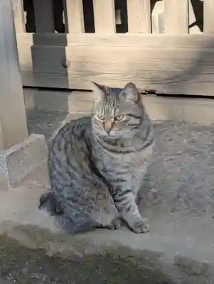 白幡八幡神社(神奈川県)