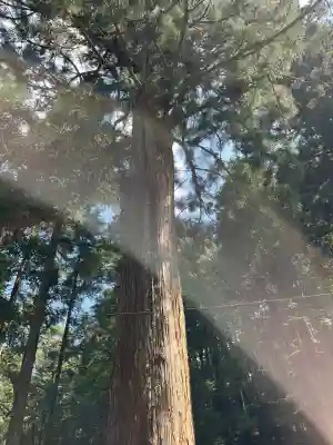 内尾神社(兵庫県)