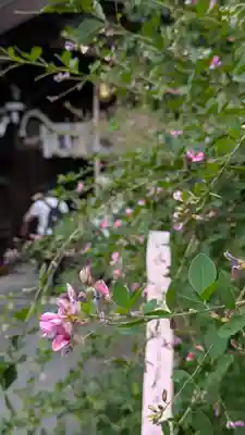 梨木神社(京都府)