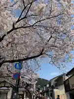 寶徳寺(宝徳寺)の自然