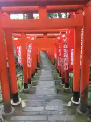 佐助稲荷神社の鳥居