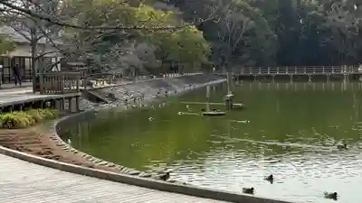 橿原神宮(奈良県)