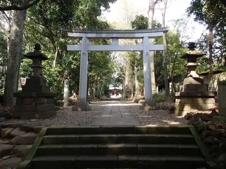 代々木八幡宮の鳥居