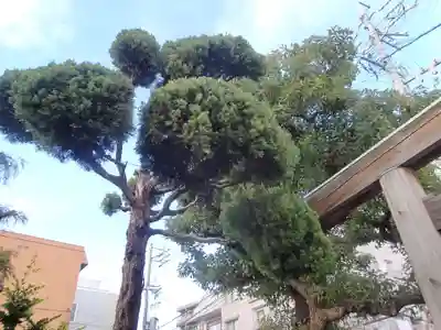 鈴之御前社（熱田神宮末社）の自然