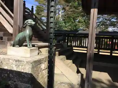武蔵御嶽神社の狛犬