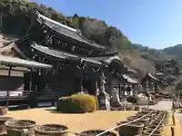 三室戸寺の本殿・本堂