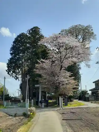 酒門神社の鳥居