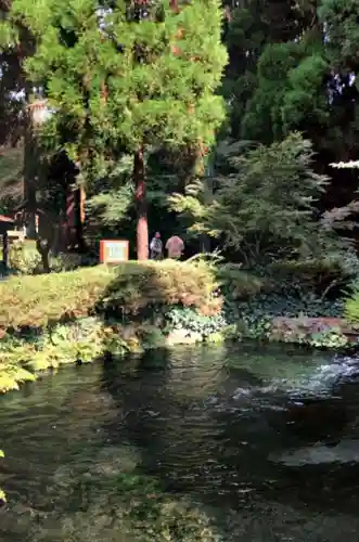 白川吉見神社の庭園