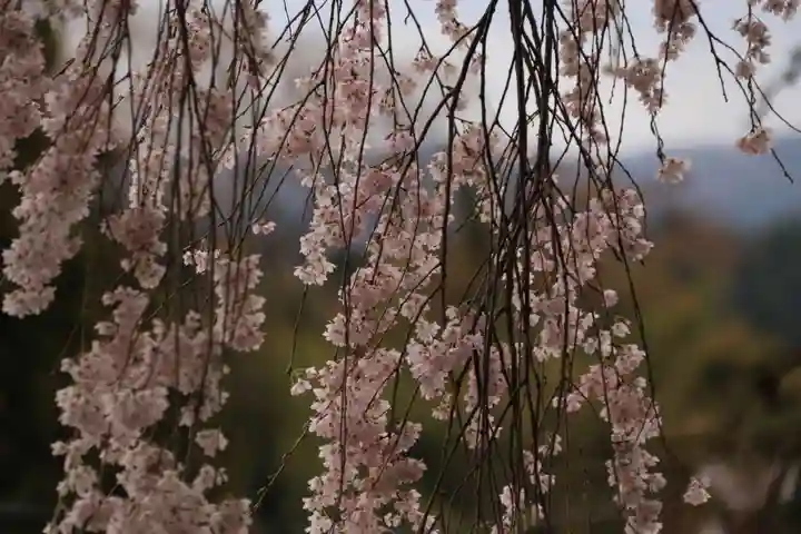 堂山王子神社の庭園