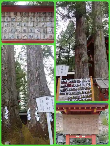 日光二荒山神社(栃木県)