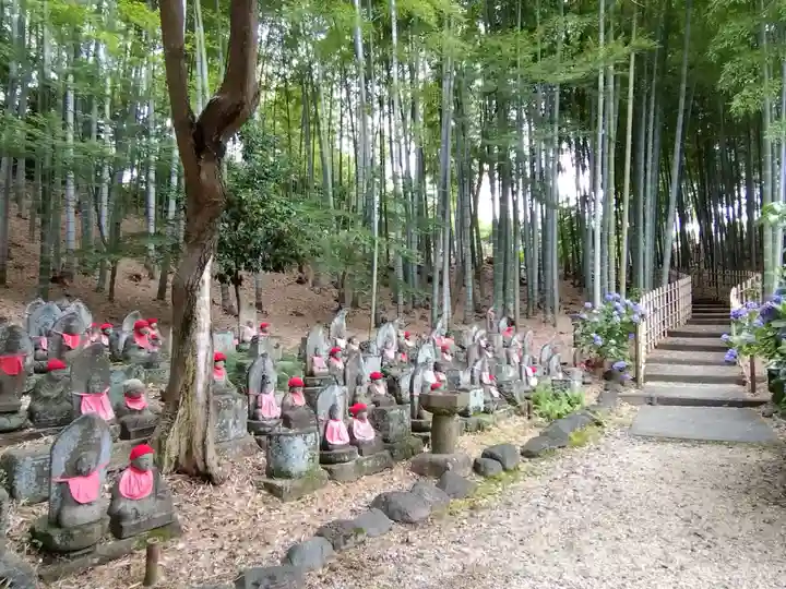 高徳院(愛知県)