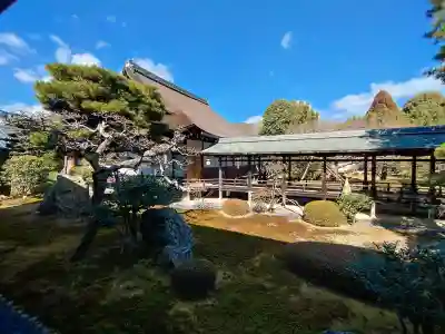 大覚寺の{uncategorized: "未分類", other: "その他", undefined: "問題あり", building: "その他建物", grave: "お墓", sacred_gate: "鳥居", guardian: "狛犬", statue: "像", buddha: "仏像", history: "歴史", nature: "自然", garden: "庭園", animal: "動物", pagoda: "塔", temizu: "手水舎", mountain_gate: "山門・神門", sanctuary: "本殿・本堂", subordinate: "末社・摂社", art: "芸術", scenery: "景色", jizo: "地蔵", ema: "絵馬", goshuin: "御朱印", omikuji: "おみくじ", items: "授与品その他", amulet: "お守り", goshuincho: "御朱印帳", eats: "食事", festival: "お祭り", votive_dance: "神楽", shichigosan: "七五三参", wedding: "結婚式", experience: "体験その他", initially: "初詣", around: "周辺", anti_infection: "感染症対策"}