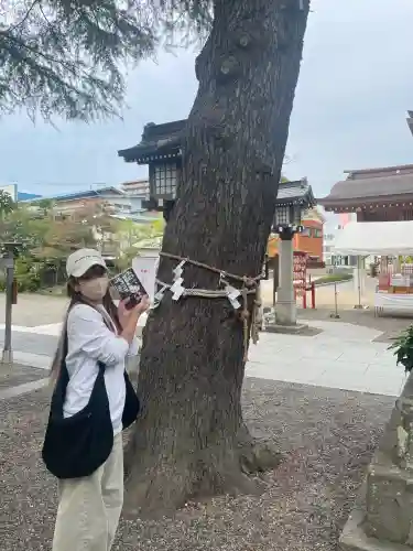 八剱八幡神社(千葉県)