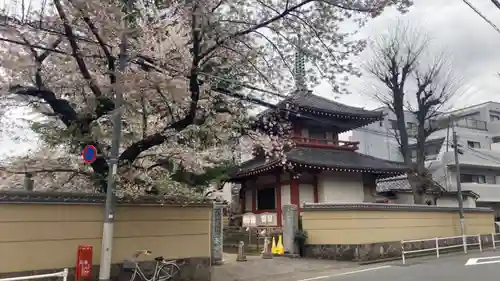 新井薬師（梅照院）(東京都)