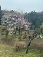 弁財天(神奈川県)