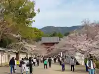 醍醐寺のその他建物