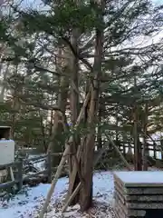 白石神社(北海道)