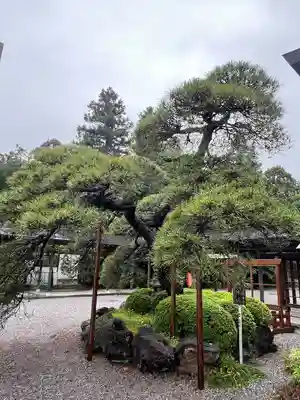 白鷺神社(栃木県)