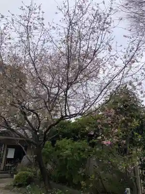 慶養寺(東京都)