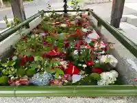 住吉神社の手水舎