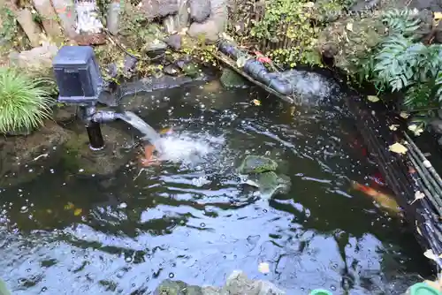 吉原弁財天本宮（吉原神社奥宮）の庭園