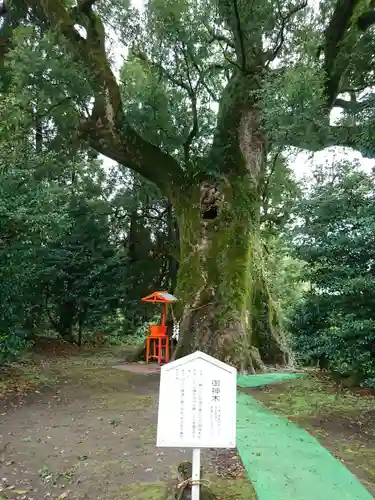 大汝牟遅神社の自然