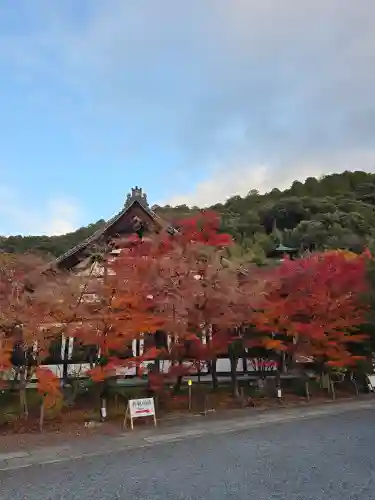 禅林寺（永観堂）(京都府)