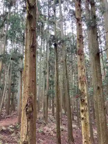河上神社の周辺