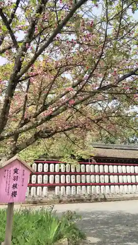 平野神社の庭園