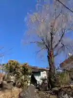 妙法寺(山梨県)