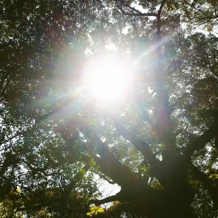 沼尾神社の自然