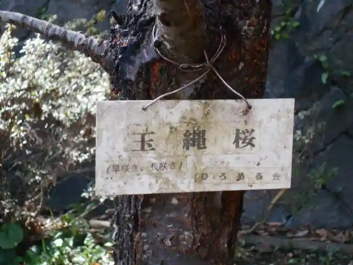 甘縄神明神社(甘縄神明宮)(神奈川県)