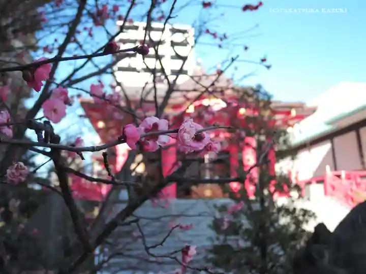 成子天神社のその他建物
