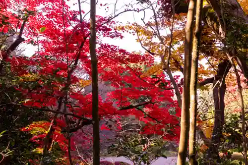 八大神社(京都府)